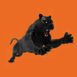 Panther Force logo