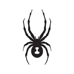 Spyder logo